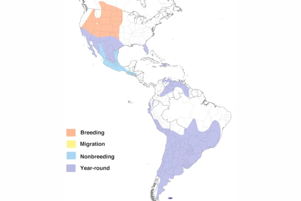 burrowing owl range map