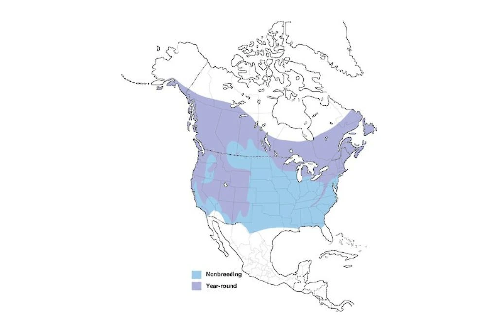 red-breasted nuthatch range map