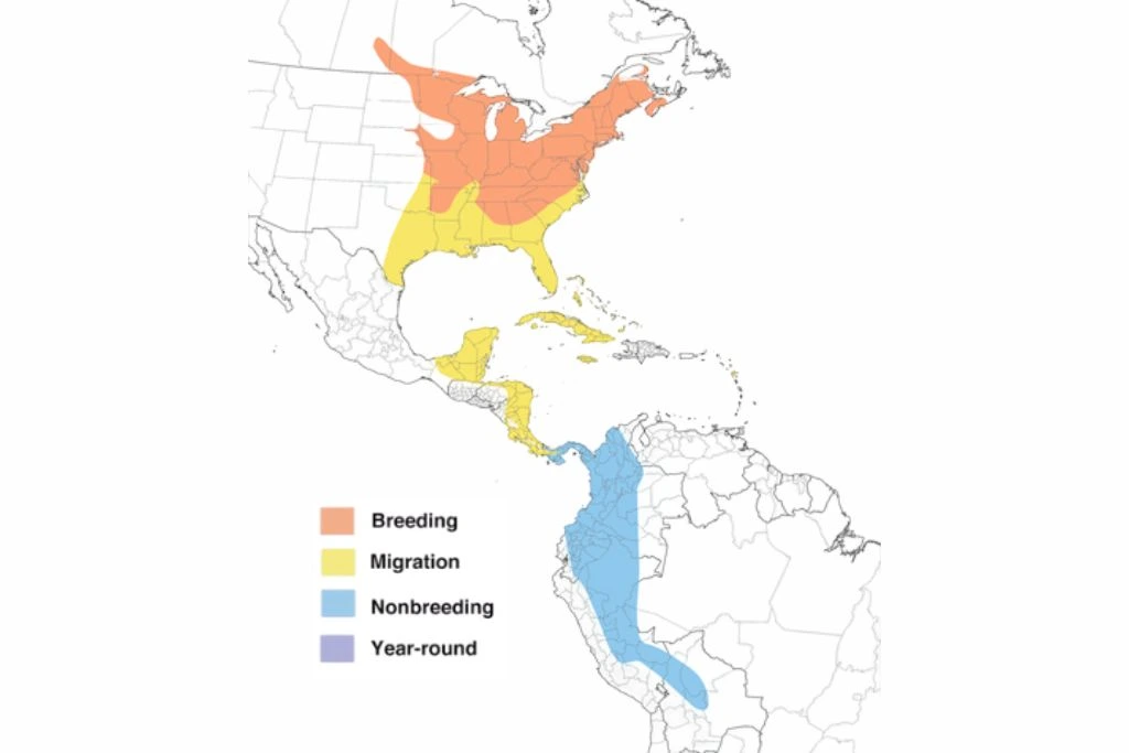 scarlet tanager red bird range map