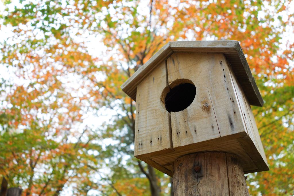 bird house in the wood
